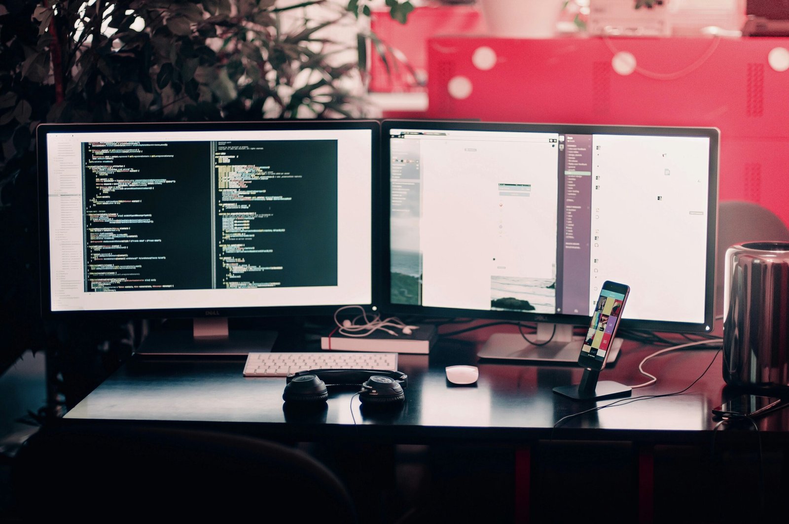 Elevate Your Skills: Merging Web Development and Fitness Training